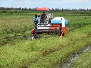 Teknologi Kubota untuk Dongkrak Produksi Pangan