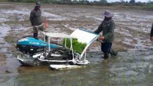Teknologi Kubota untuk Dongkrak Produksi Pangan