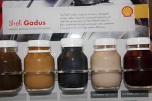 Apa Saja Layananan Pendukung Yang Ditawarkan Shell?