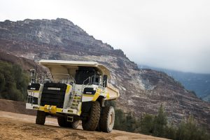 Rigid Hauler – Populasi Sedikit, Peran Besar