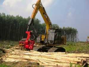 Bisnis rental jadi pintu masuk untuk introduksi teknologi baru