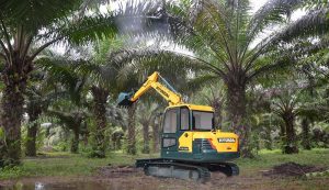 Hyundai HX 55S Untuk Perkebunan Kelapa Sawit